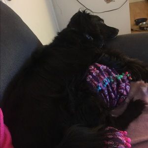 Meet your Posher, Mark